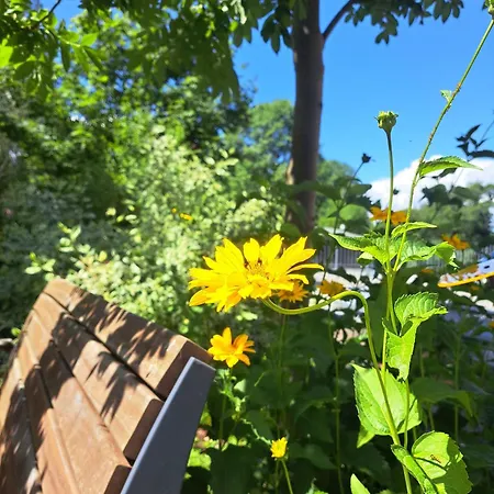 Ferienremise Brandenburg (Brandenburg an der Havel)