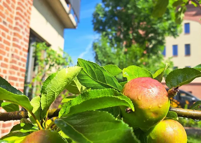Lägenhet Ferienremise