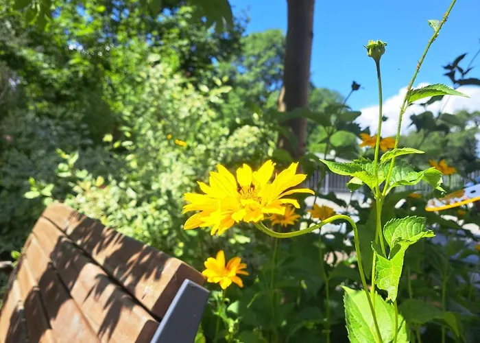 Ferienremise Brandenburg (Brandenburg an der Havel)
